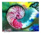 by Kathy Morton-Stanion