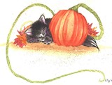 by Augie Fie