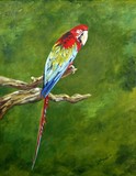 by Dell Belew