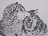 by Michele Turney