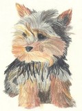 by Jodie A
