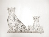by Tiffany Lee