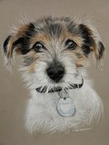 by Sue Clinker