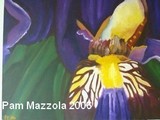 by Pam Mazzola