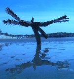 by fredie cumberland II