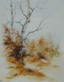 by Abbygale  Roblet