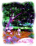by Patricia Griffin Brett