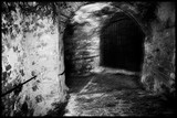 by giuseppe dibenedetto