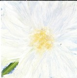 by Joy Farrar