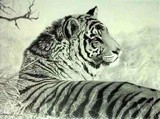 by myra naito