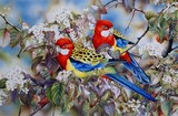 by Heidi Willis