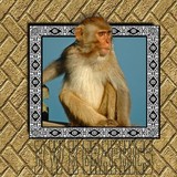 by William  Johnston