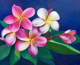 by DULCIE DEE