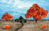 by Jerry Lee Cline