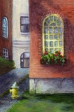 by Debbie Shirley