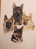 by Sharon Jarvis