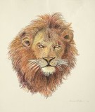 by Michael Stosiek