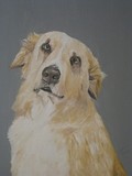 by Jennifer Krueger