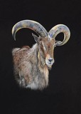 by Geraldine Simmons