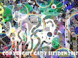 by gary heiden