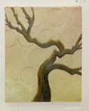 by elizabeth Bayless