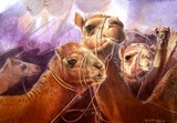 by francis kwok peng kin