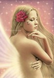 by Rajacenna van dam