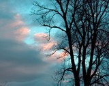 by Tony Weatherman
