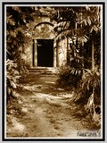 by Tanusree Roy