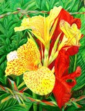 by Gwenlyn Norton