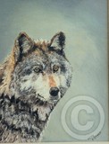 by Hedy Fischer