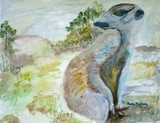 by Paula Maybery