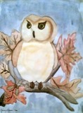 by Ginny Heavner