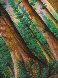 by James Ferrell