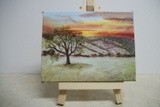 by cindy kelly