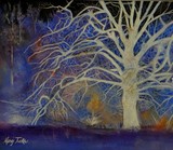 by Margi Tucker