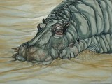 by Anne Buffington