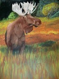 by Tammy J Johnson