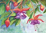 by Maria A. Bales