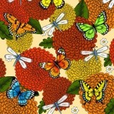 by Janelle Dimmett
