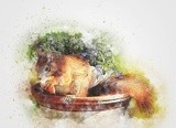 by graham rhodes