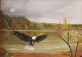 by Brenda Sauer