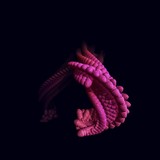 by lucas kolasa/internet