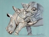 by Amanda Martin