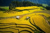 by Thanh Hoang Cong