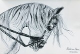 by Mingming  Peng