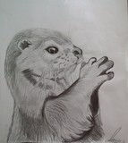 by refael degorker