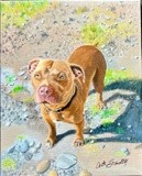 by Catherine Sandell