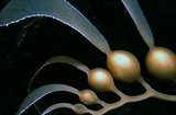 by Rick Tegeler