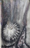 by Stana catalin
